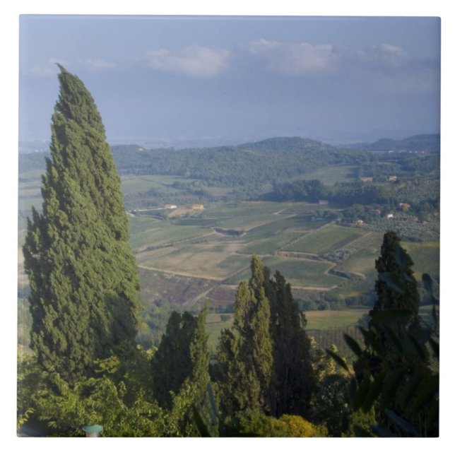 Italy, Tuscany, Montepulciano. View of the Ceramic Tile (Front)