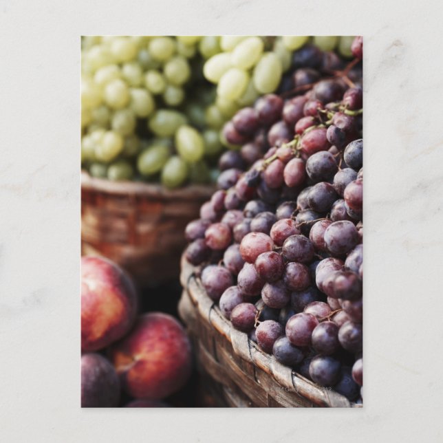 Italy,Tuscany,Siena 2 Postcard (Front)