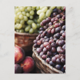 Italy,Tuscany,Siena 2 Postcard