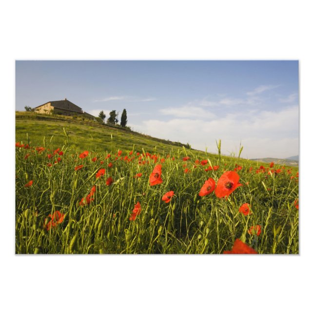 Italy, Tuscany, Tuscan Villa in Spring With Photo Print (Front)