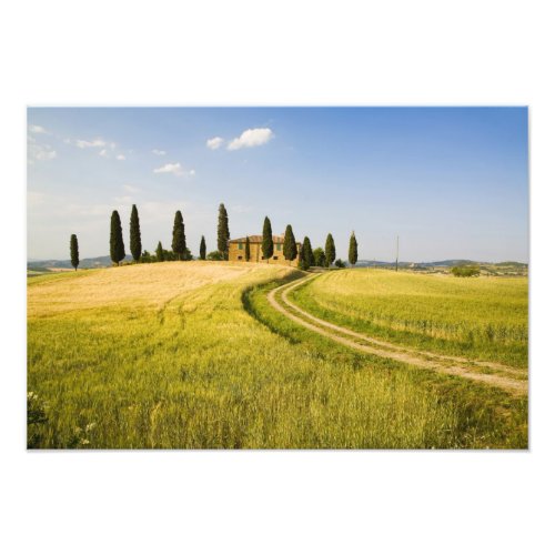 Italy Tuscany Tuscan Villa nearing Harvest Photo Print