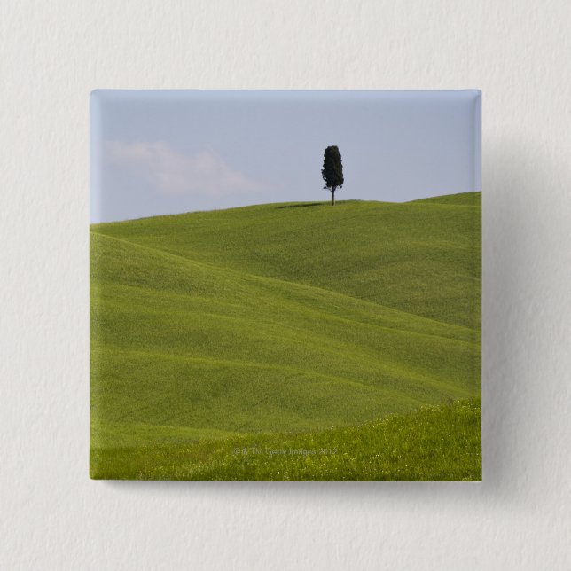 Italy, Tuscany, Val D'Orcia, Lone tree on hill Button (Front)