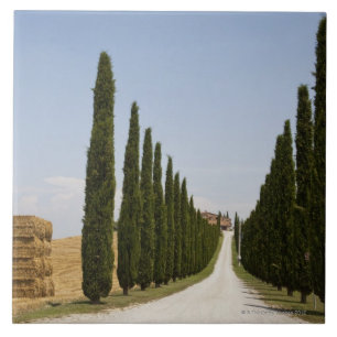 Italy. Tuscany. Val D'Orcia (Orcia Valley) 3 Tile