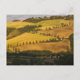 Italy, Tuscany, ZigZag Road in Tuscany. Postcard