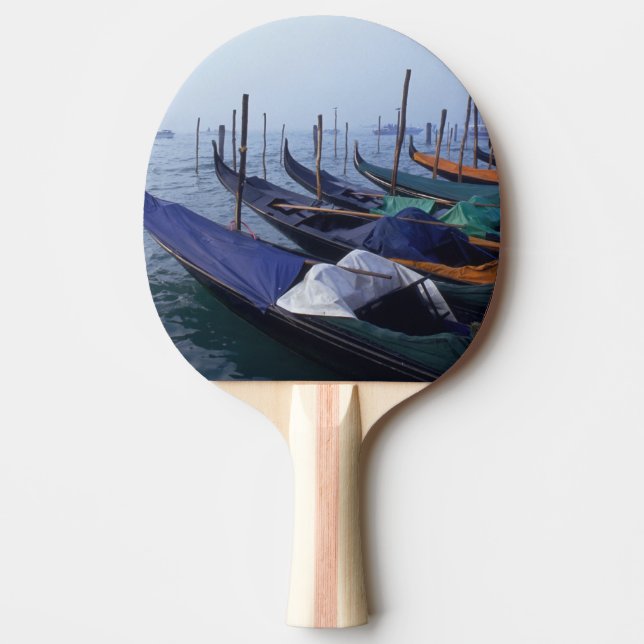 Italy, Venice. Gondolas. Ping-Pong Paddle (Front)