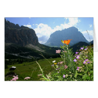 ITALY: Wildflowers, Dolomites