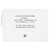 ITALY: Wildflowers, Dolomites (Back Horizontal)