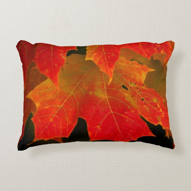 Itasca State Park, Fall Colors 2 Accent Pillow (Front)