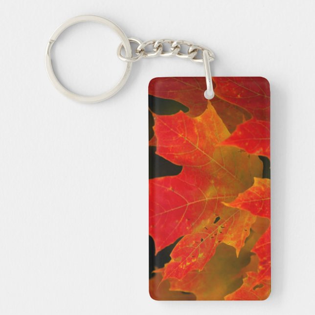 Itasca State Park, Fall Colors 2 Keychain (Front)