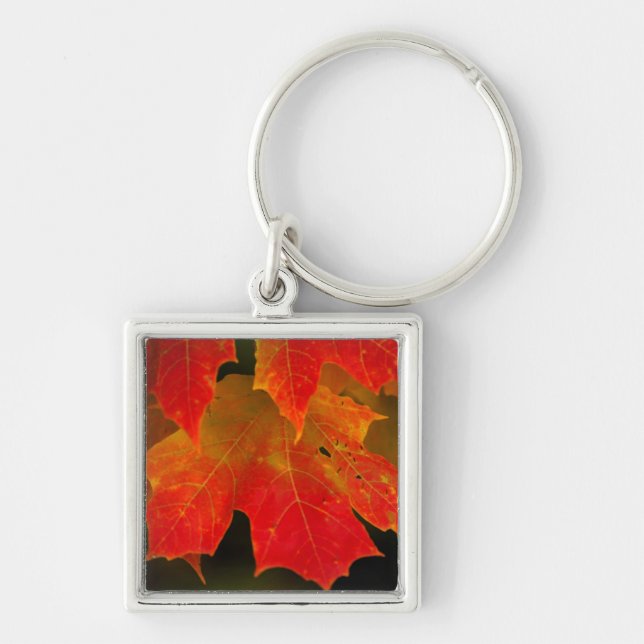 Itasca State Park, Fall Colors 2 Keychain (Front)