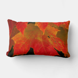 Itasca State Park, Fall Colors 2 Lumbar Pillow