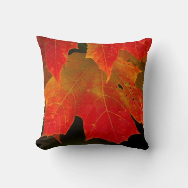 Itasca State Park, Fall Colors 2 Throw Pillow (Front)