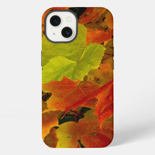 Itasca State Park, Fall Colors Iphone Case (Back)
