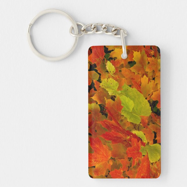 Itasca State Park, Fall Colors Keychain (Front)