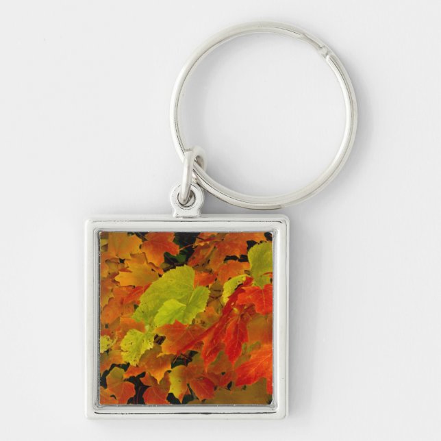 Itasca State Park, Fall Colors Keychain (Front)