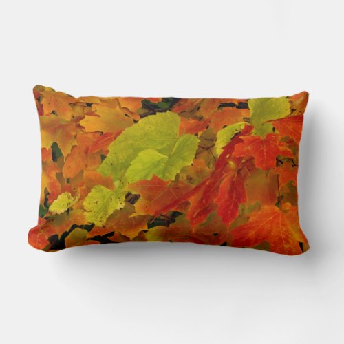 Itasca State Park Fall Colors Lumbar Pillow
