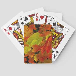 Itasca State Park, Fall Colors Poker Cards