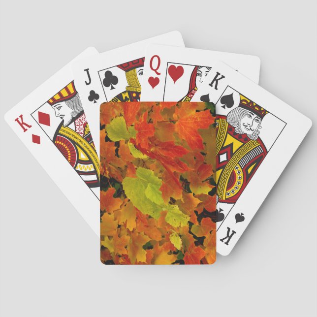 Itasca State Park, Fall Colors Poker Cards (Back)