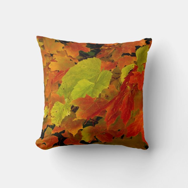 Itasca State Park, Fall Colors Throw Pillow (Front)