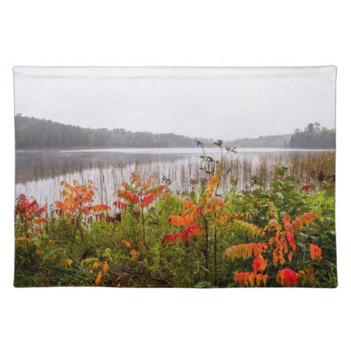 Itasca State Park  Minnesota Cloth Placemat
