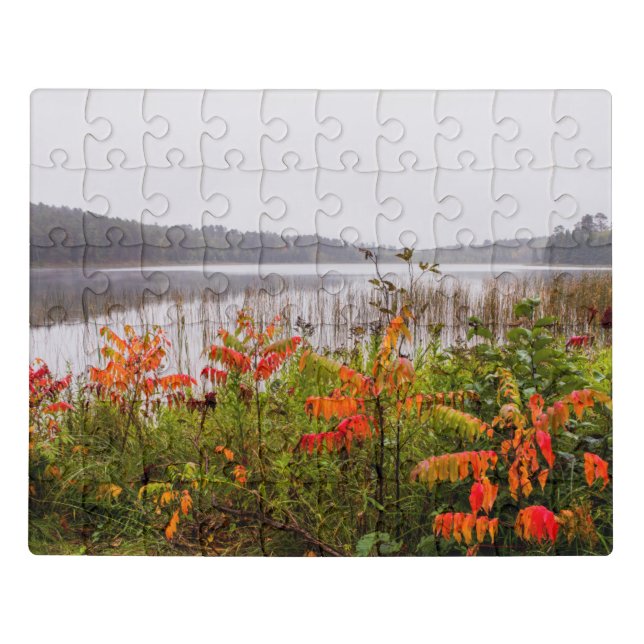 Itasca State Park | Minnesota Jigsaw Puzzle (Puzzle Horizontal)
