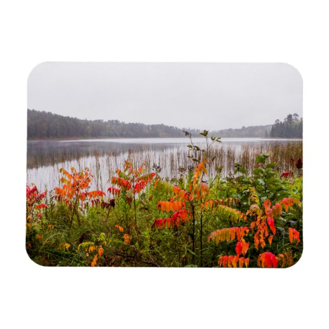 Itasca State Park | Minnesota Magnet (Horizontal)