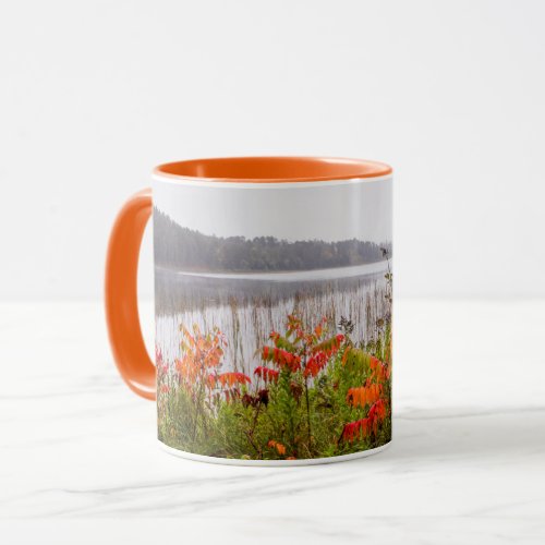 Itasca State Park  Minnesota Mug