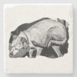 Itchy but Adorable Stone Coaster