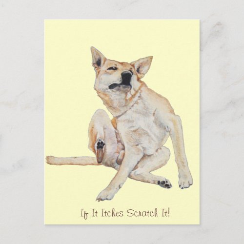 itchy dog scratching painting with funny slogan postcard