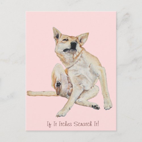 itchy dog scratching painting with funny slogan postcard