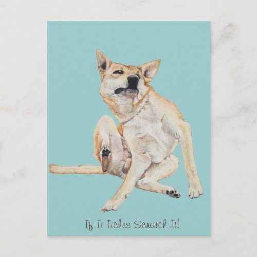 itchy dog scratching picture with funny slogan postcard