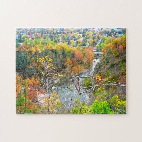 ITHACA NEW YORK GORGE JIGSAW PUZZLE