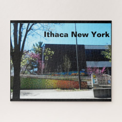ITHACA NEW YORK LIBRARY JIGSAW PUZZLE