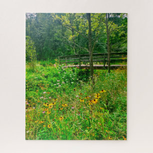 ITHACA NEW YORK NATURE RESERVE  JIGSAW PUZZLE