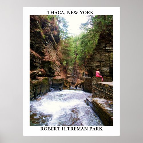 ITHACA NEW YORK ROBERTHTREMAN PARK poster