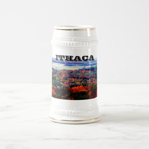 ITHACA NEW YORK stein