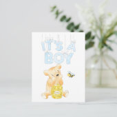 It's A Boy Baby Shower Teddy Bear Postcard (Standing Front)