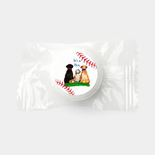 It's a Boy, Baseball Themed Baby Shower Life Saver® Mints