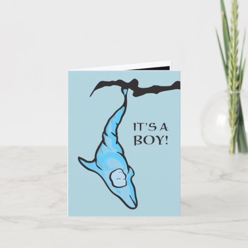 its a boy blue dolphin cocoon announcement