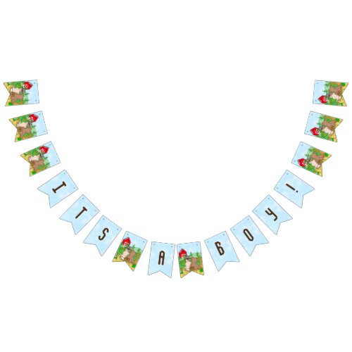 Its a Boy  Boys Baby Shower  Bunting Flags