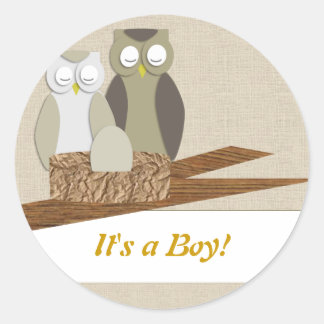 It's a boy! classic round sticker