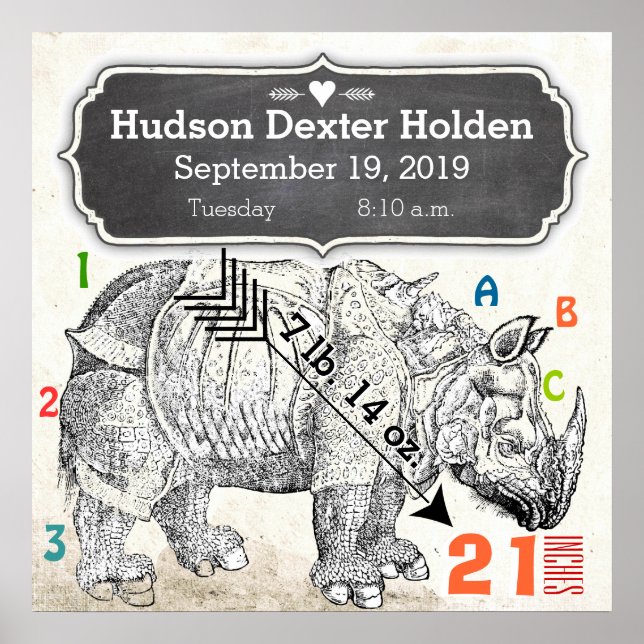 It's A Boy! New Baby Rhinoceros Poster (Front)