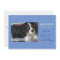 It's a Boy - Pet Photo Card
