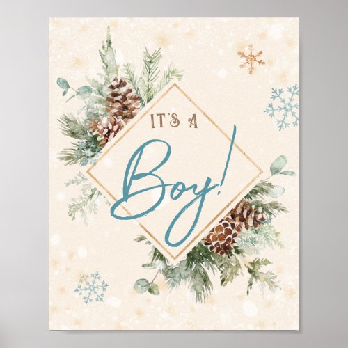 Its a Boy Winter Baby Shower Sprinkle Snowflake Poster