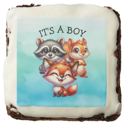 It's a Boy | Woodland Creatures Baby Shower Brownie (Front)