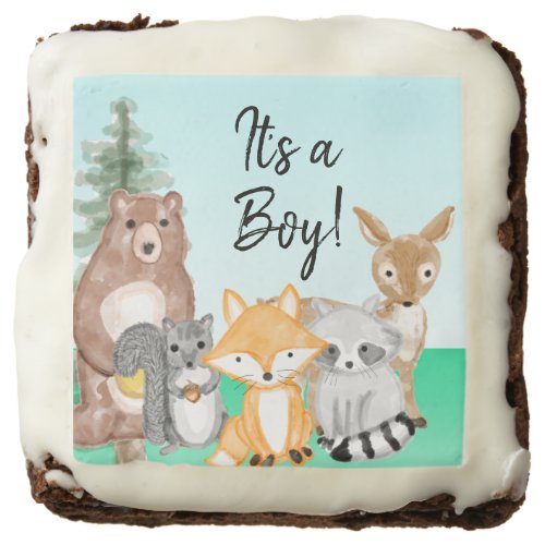 Its a Boy  Woodland Creatures Baby Shower Treats Brownie