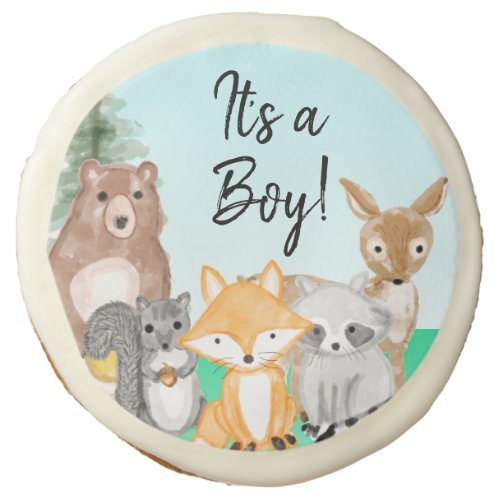 Its a Boy  Woodland Creatures Baby Shower Treats Sugar Cookie