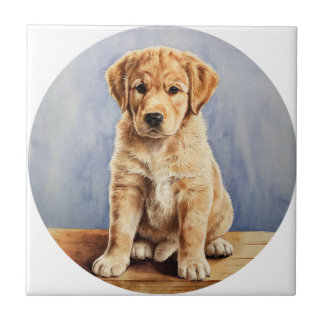 It's a ceramic tile. ceramic tile