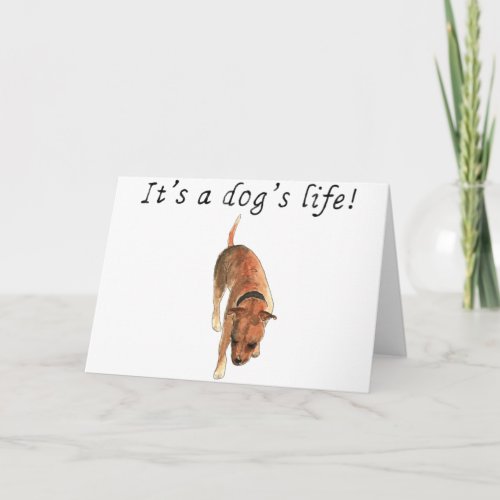 Its a dogs life Cute Staffordshire Bull Terrier Card