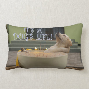 It's a dogs life lumbar pillow